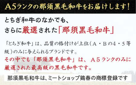 【年内発送 12/10迄受付】A5那須黒毛和牛 箱付盛り合わせ 600g（サーロイン・ヒレ・上カルビ・肩肉 各150g）｜黒毛和牛 和牛 牛 A5 国産 セット 詰め合わせ 那須 栃木県 那須町〔P-