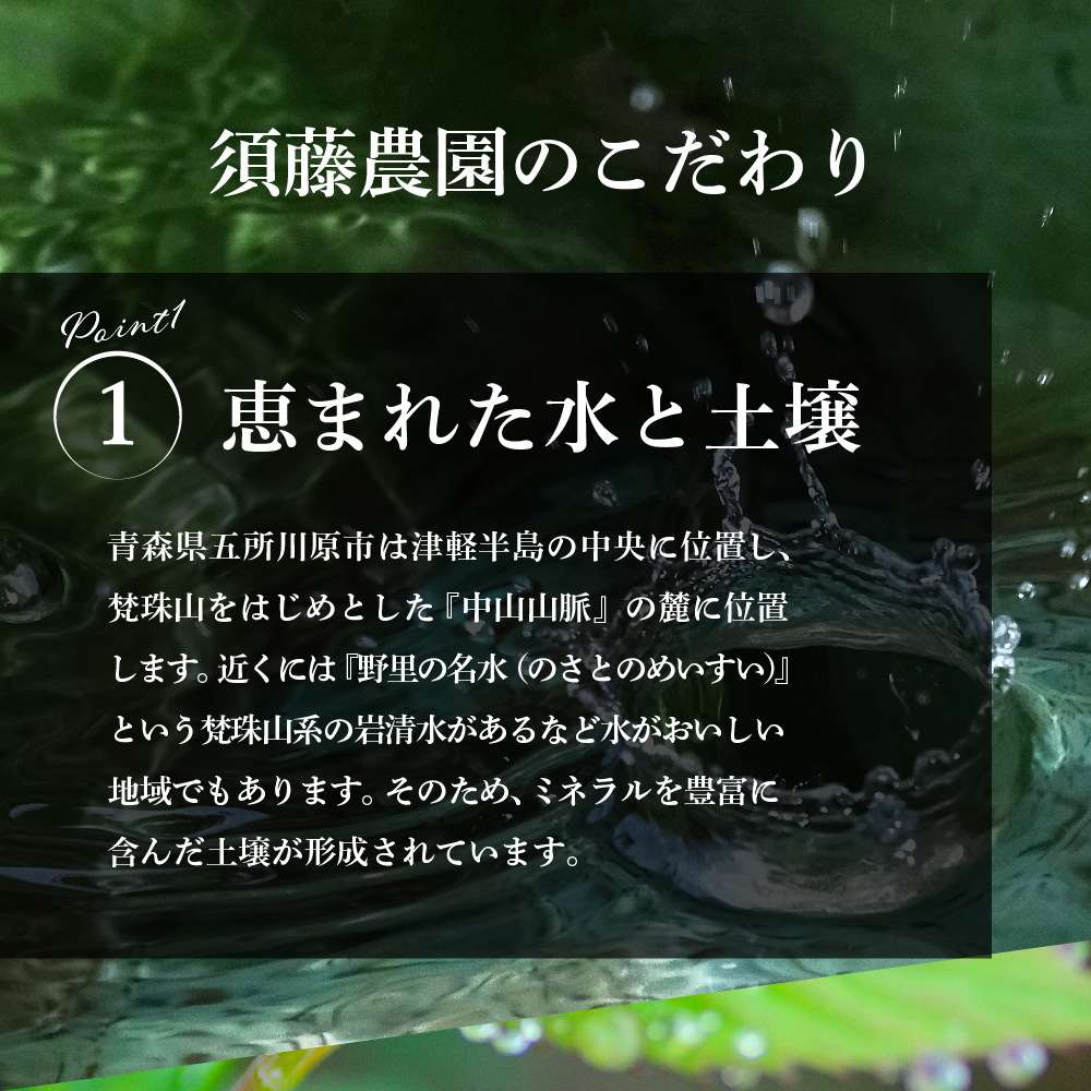【2026年2月上旬発送】≪ 贈答用 ≫ りんご 約 5kg サンふじ りんご品評会金賞受賞歴あり！ 青森県 五所川原市