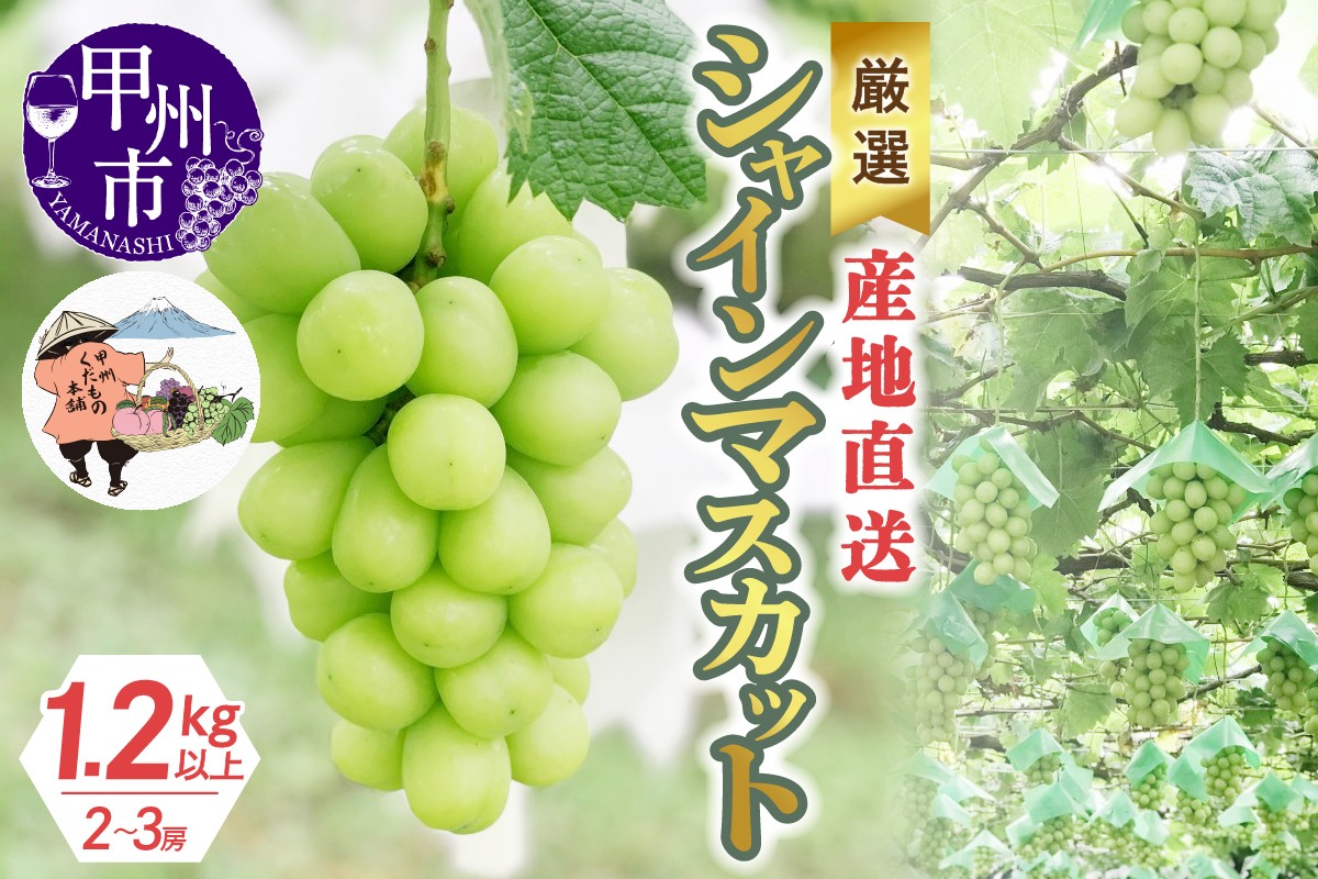 
                  厳選！産地直送ぶどう「シャインマスカット」1.2kg以上（2～3房）【2026年発送】（KKH）B-491 【シャインマスカット 葡萄 ぶどう ブドウ 令和8年発送 期間限定 山梨県産 甲州市 フルーツ 果物】
                
