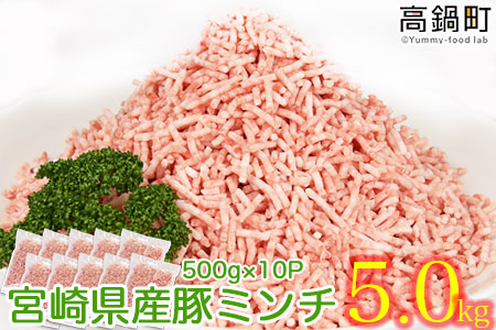 宮崎県産豚ミンチ5.0kg 翌月末迄に順次出荷