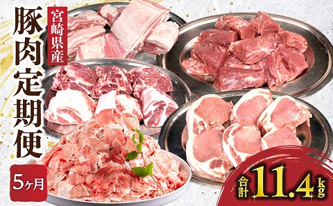 【全5回】豚肉定期便 国産 豚肉 ブロック ブロック肉 切り落とし 5ヶ月 5回 定期便 バラ ロース ヒレ 豚ヒレ 肩ロース 豚肩ロース 豚バラ 豚ロース 切り落し 切落し 豚 肉 お肉 ギフト 冷凍 パック 小分け グルメ お取り寄せ_M262-T001