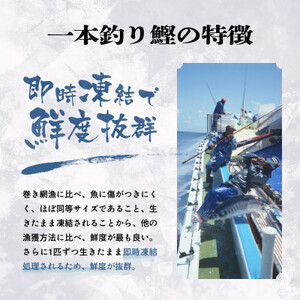 1本釣り血合い抜き炭火焼かつおたたき1.2kg 2種類のタレ付 AA-432【配送不可地域：離島】【1166307】