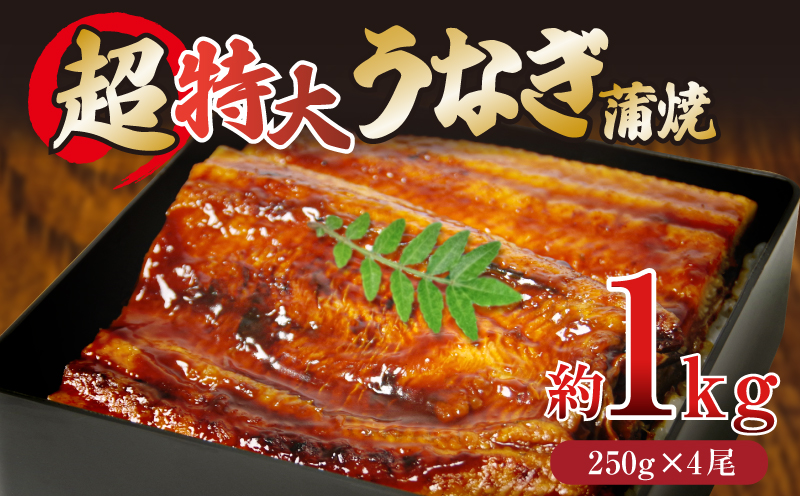 うなぎ 蒲焼き ( 特大 4尾 計1kg 250g×4尾 ) ご飯にかける専用タレ付き！ 冷凍  | 夏 スタミナ うな重 うな丼 ひつまぶし タレ 鰻 ウナギ うなぎ うなぎの蒲焼 人気 大人気 肉厚 ふわふわ パリパリ 脂 unagi 土用の丑の日 【北海道・東北・沖縄・離島への配送不可】