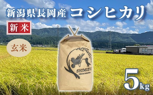 
            N5-G051新潟県長岡産コシヒカリ玄米5kg
          