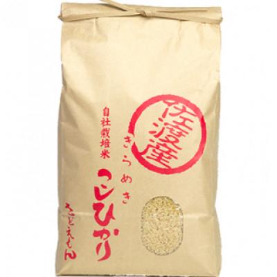ふるさと納税 佐渡市 自社栽培米新潟県【佐渡産】こしひかり(玄米10kg) |  | 02