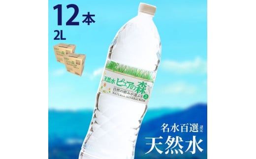 2L×12本  硬度27mg/L 超軟水! ナチュラルミネラルウォーター ピュアの森  2L×12本（6本入×2箱）軟水・ペットボトル・飲料水・水