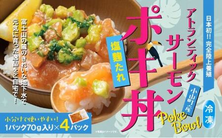 国産 アトランティックサーモン ポキ 丼 70g × 4パック 塩麴たれ サーモン 漬け