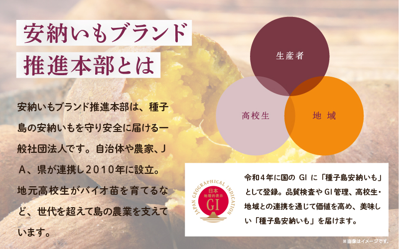 冷凍焼き芋（安納こがね）約２kg【南種子町観光物産館 トンミー市場】
