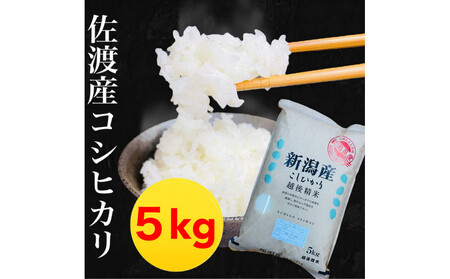 【令和7年度産】佐渡地区産コシヒカリ 5kg