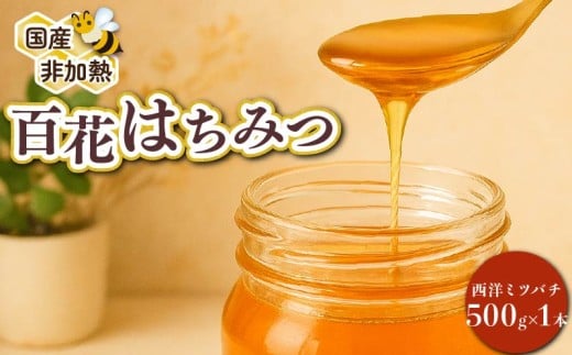 蜂蜜 はちみつ 百花蜜 西洋ミツバチ 500g×1本 国産 大上養蜂 西洋ミツバチ 純粋  高糖度 保存食 母の日 父の日 敬老の日 簡単 食卓 安心 安全 非加熱 天然 100%  濃厚  自然 酸味 フルーティー 静岡県 牧之原市 贈答 プレゼント 食卓 西洋 日本 西洋蜜蜂 日本蜜蜂