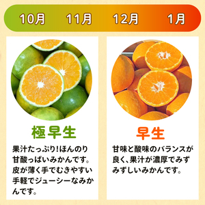 【ゆら早生みかん】 ゆら早生みかん 3.5kg ※2025年10月中旬～順次発送【tmkn_005】