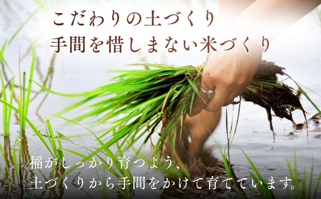 お米 米 こめ コメ 白米 精米 ごはん ご飯 ライス にじのきらめき ニジノキラメキ 5kg