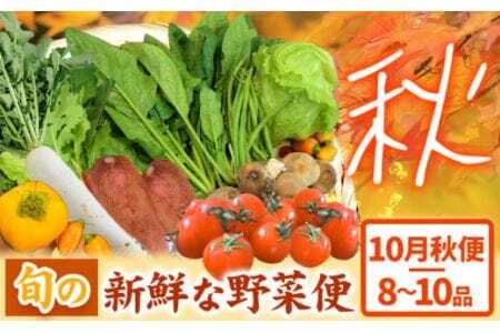 ＜ 先行予約 ＞ 旬の新鮮な 野菜便 10月秋便 8～10品 野菜