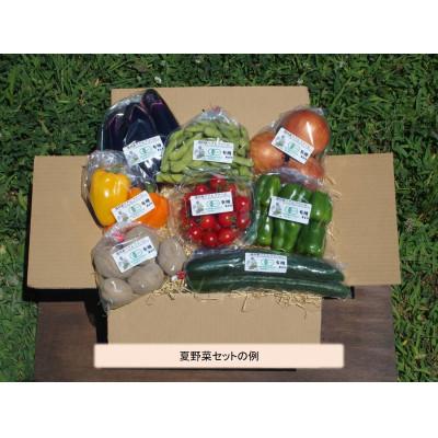 ふるさと納税 千曲市 長野県千曲市産【有機JAS認証】信州ありさんファームの有機野菜7〜9品目セット