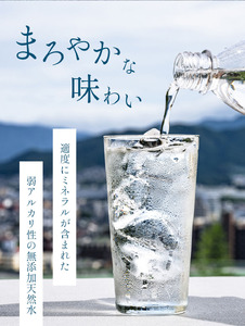 【 定期便 6回 】【 平成の名水百選 】 君津市 久留里の名水 生きた水 ・ 久留里 ペットボトル 2ケース 48本（ 1ケース 500ml ペットボトル 24本 × 2 ）× 6回  | ミネラル