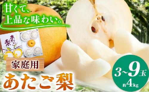 あたご梨 3～9玉 家庭用 4kg 箱 石原果樹園 《11月下旬-12月下旬頃より発送予定》岡山県 浅口市 梨 なし 果物 フルーツ くだもの あたご 訳あり