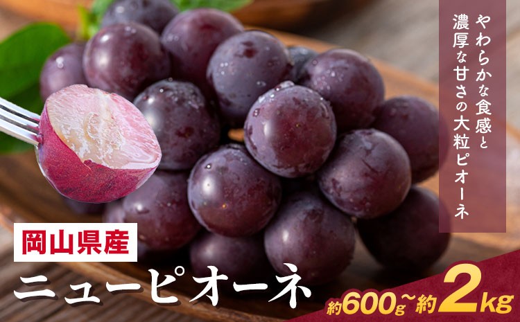 
            【2026年先行予約】岡山県産 ニューピオーネ詰合せ 選べる 計600g～2kg 株式会社はちや《2026年8月下旬‐9月下旬頃出荷》岡山県 浅口市 ぶどう 葡萄 フルーツ ギフト 果物 デザート 国産 送料無料【配送不可地域あり】
          