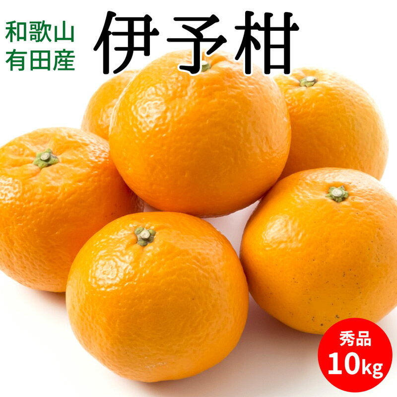 【ふるさと納税】【2026年先行予約】伊予柑 秀品 約10kg 和歌山県有田産【いよかん 柑橘 和歌山産】