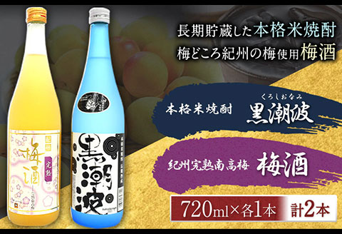 本格米焼酎 黒潮波 （くろしおなみ） と 紀州完熟南高梅 梅酒 720ml×各1本 2本セット 厳選館《90日以内に出荷予定(土日祝除く)》 和歌山県 日高町 酒 梅酒 焼酎 米焼酎 果実酒