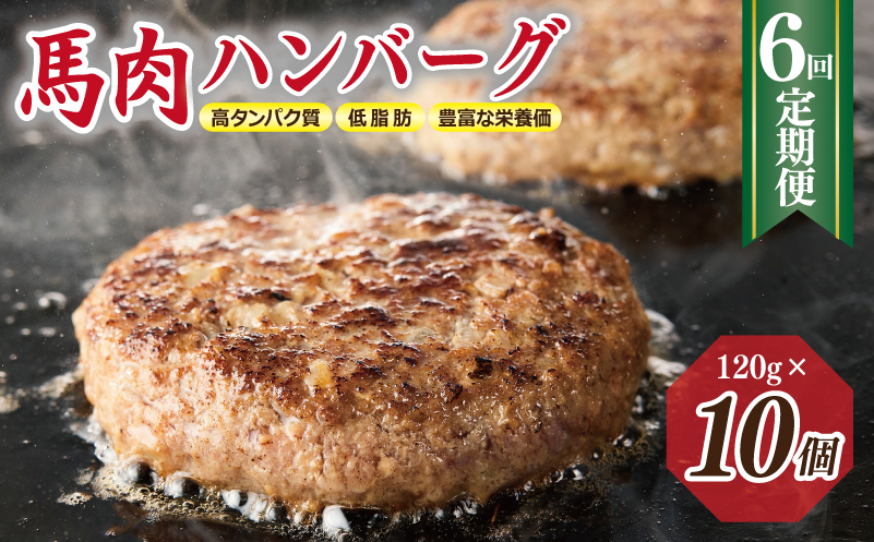 【定期便】 桜文 馬肉ハンバーグ 120ｇ×10個 全6回 【毎月配送コース 大阪 泉佐野 大阪府 泉佐野市】