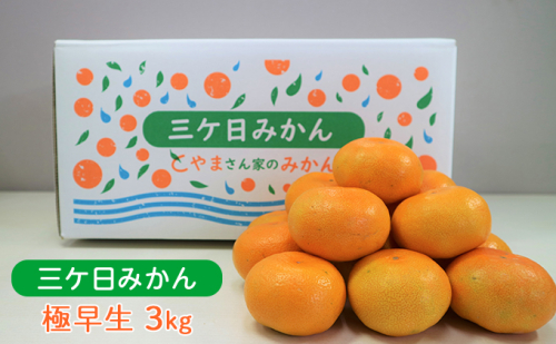 【2026年10月下旬より順次発送】三ヶ日みかん（極早生3kg）光センサー選果 果物類 柑橘類 フルーツ 安全 おいしい 高糖度 濃厚 甘い サイズ混在 静岡県 浜松市