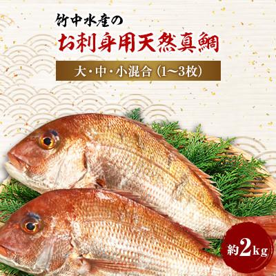 ふるさと納税 八幡浜市 竹中水産の「お刺身用天然真鯛」約2キロセット!(大、中、小混:1〜3枚)【D22-263】