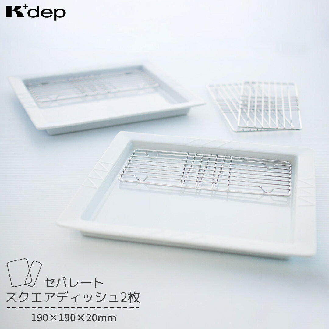 【ふるさと納税】スクエアディッシュ2枚(セパレート) お皿 盛り付け皿 油切り ディッシュ プレート 調理用品 台所用品 キッチンツール 【019S101】