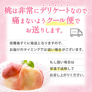 桃 白桃 11～15玉入り秀品【2026年6月下旬から7月中旬ごろ発送】【S96001-mtgn045】