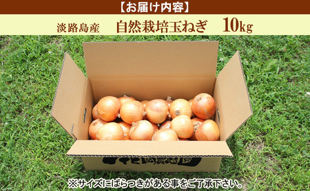 淡路島産 栽培期間中 無肥料 無農薬 自然栽培 玉ねぎ 10kg 野菜 玉葱 兵庫県 洲本市 淡路島