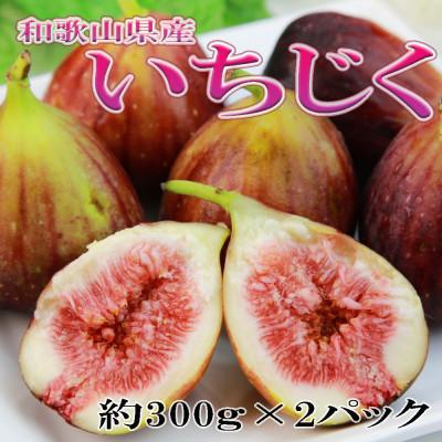 ふるさと納税 紀の川市 和歌山県産新鮮いちじく約300g×2パック入り