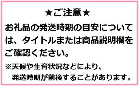 りんご【紅玉】20～28玉（約4.5kg）【2024年産・先行予約】