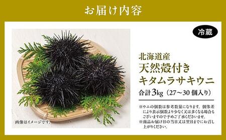【期間限定】[北海道産] 天然殻付きキタムラサキウニ 3kg「2026年6月以降順次発送」 MATB013