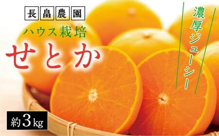 濃厚・ジューシー！ハウス栽培せとか　約3ｋｇ　化粧箱入り　＜本年は生産量激減の為数量限定＞【瀬戸内産せとか せとか 柑橘 みかん ハウスせとか せとかせとか】