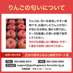 りんご　サンふじ約3kg丸福【2月後半発送】光センサー選果糖度13度以上青森りんごリンゴサンふじりんご五所川原りんご林檎サンフジリンゴ