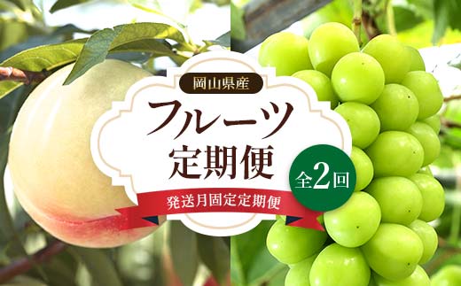 
            先行予約＜2025年発送＞発送月固定 定期便 岡山県産 フルーツ定期便 全2回 TY0-0433
          