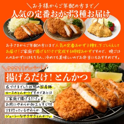 ふるさと納税 佐伯市 <定期便・全6回> 時短おかず・大人気フライ3種セット (2か月毎) |  | 02