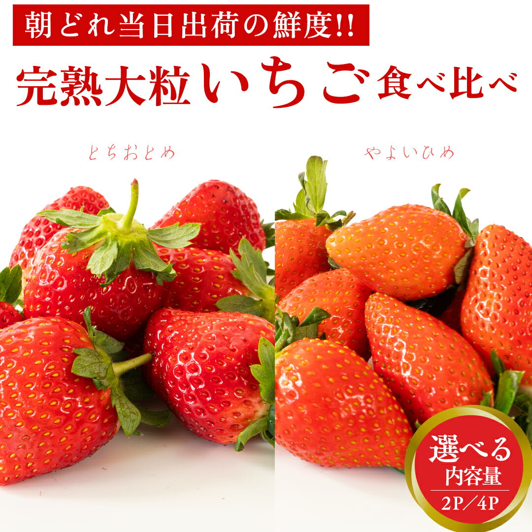 【ふるさと納税】完熟 やよいひめ ・ とちおとめ 食べ比べ ( 選べる 内容量 ) 2パック 4パック 先行予約 大粒 イチゴ 苺 いちご フルーツ 果物