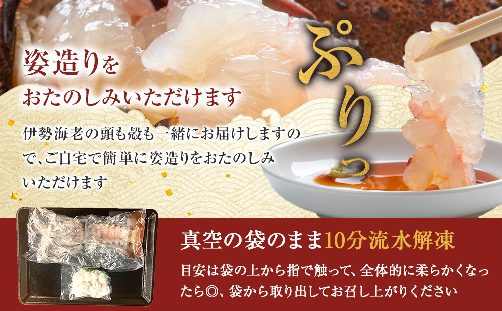 【年末配送】CAS凍結 伊勢海老 姿造り 500g 〜 600g 約2人前