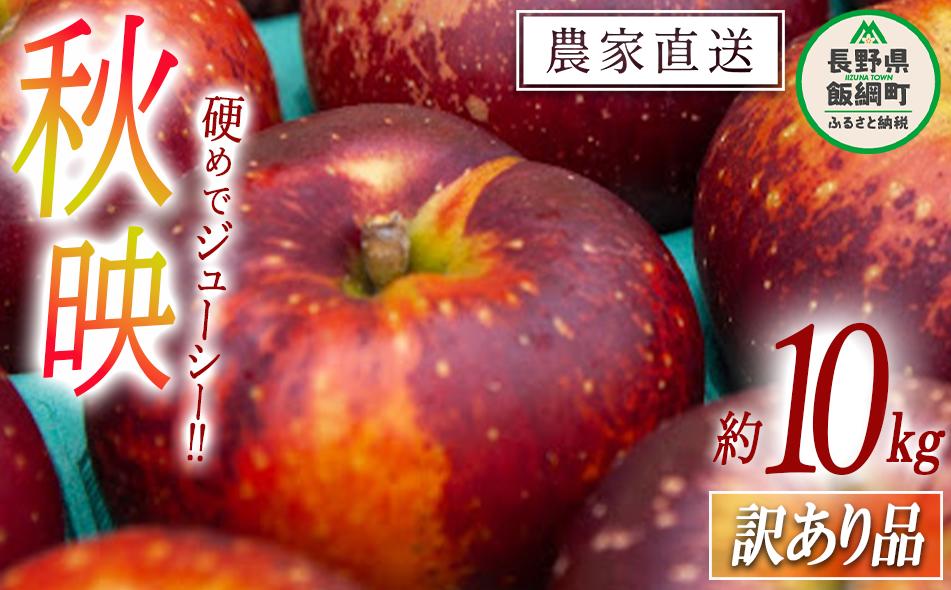 りんご 秋映 訳あり 10kg 松橋りんご園 2025年10月上旬頃から2025年10月下旬頃まで順次発送予定 令和7年度収穫分 フルーツ リンゴ 信州 長野県 飯綱町 [0549]