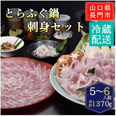 ふるさと納税 長門市 とらふぐ鍋・刺身セット5-6人前/冷蔵
