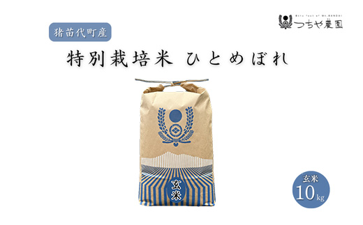 【令和7年度産 新米】 つちや農園 猪苗代町産 玄米 特別栽培米ひとめぼれ 10kg（玄米）| お米 米 ひとめぼれ ※2025年11月上旬頃より順次発送予定