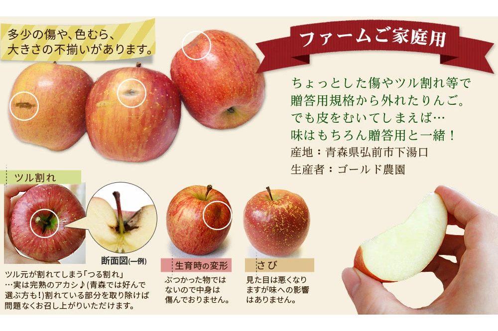 【25年12月発送】《定期便2ヶ月》りんご 葉とらず ふじ《家庭用》約5kg ゴールド農園