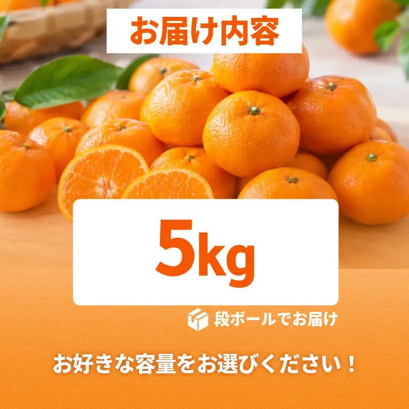 【2026年11月10日から発送】甘さ凝縮！濃蜜小粒 みかん 5kg 2S以下 小松島市
