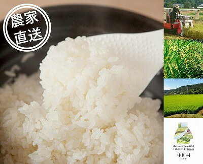 【ふるさと納税】信州産コシヒカリ　桃つや米　5Kg