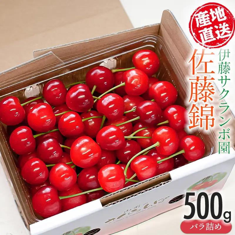 さくらんぼ「佐藤錦」バラ詰め(Lサイズ以上) 500g 山形県鶴岡産 伊藤サクランボ園 令和9年産 K-942