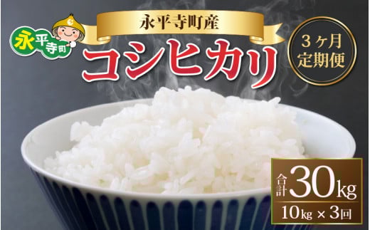 【先行予約】【3ヶ月定期便】【白米】 令和7年度産 永平寺町産 コシヒカリ 10kg×3ヶ月（計30kg）【10月上旬より順次発送開始予定】１０キロ 10kg 頒布会 米 精米 米 お米 コメ 送料無料 こしひかり 福井  [F-033021]
