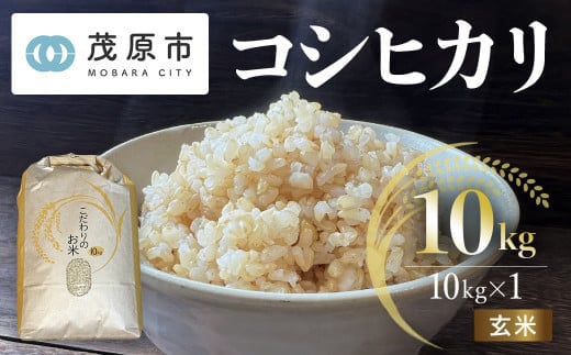 
            新米 令和7年産 千葉県茂原市産 コシヒカリ 玄米10kg 【ふるさと納税 おすすめ 人気 ランキング お米 米 精米 コシヒカリ 玄米 千葉県 茂原市】MBAM008
          