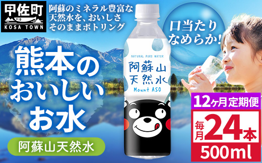 【定期便12ヶ月】熊本のおいしいお水 阿蘇山天然水 500ml×24本（1ケース）（共通返礼品・御船町） - 天然水 水 飲料水 ミネラルウォーター 箱買い まとめ買い ペットボトル 飲料 ウォーター