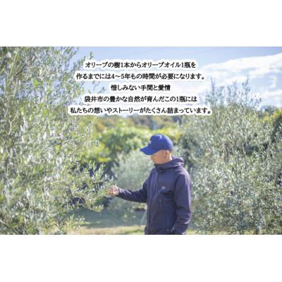 ふるさと納税 袋井市 【静岡県袋井市産】エキストラバージンオリーブオイル100ml×3本 香り豊かでやさしい味わい |  | 01