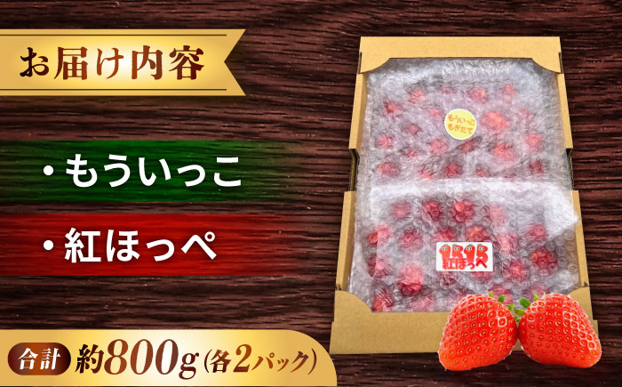 苺 「もういっこ・紅ほっぺ」200ｇ×4パックセット 広島県福山市/株式会社ラフテル もういっこ 紅ほっぺ いちご イチゴ セット　 [BAGD001]